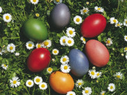 Ostereier in der Wiese