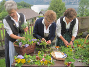 Goldhaubenfrauen Traunkirchen
