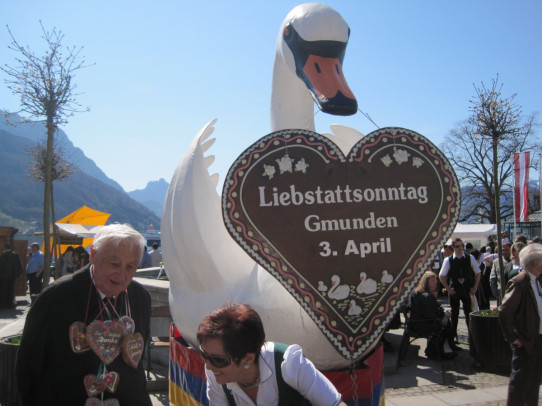 Liebstattsonntag-Schwan